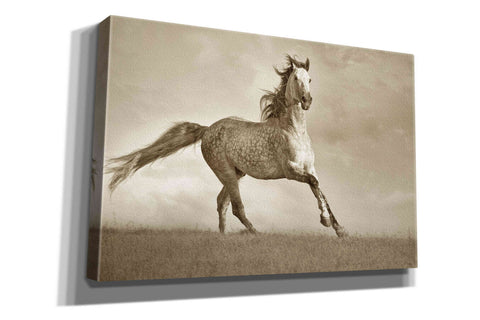 Image of 'Like the Wind' by Lisa Dearing, Giclee Canvas Wall Art