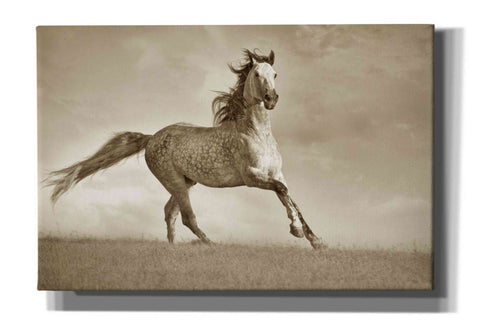 Image of 'Like the Wind' by Lisa Dearing, Giclee Canvas Wall Art