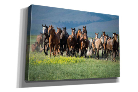 Image of 'Montana Thunder' by Lisa Dearing, Giclee Canvas Wall Art