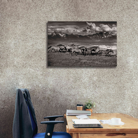 Image of 'Mountain Range Mavericks' by Lisa Dearing, Giclee Canvas Wall Art,40x26