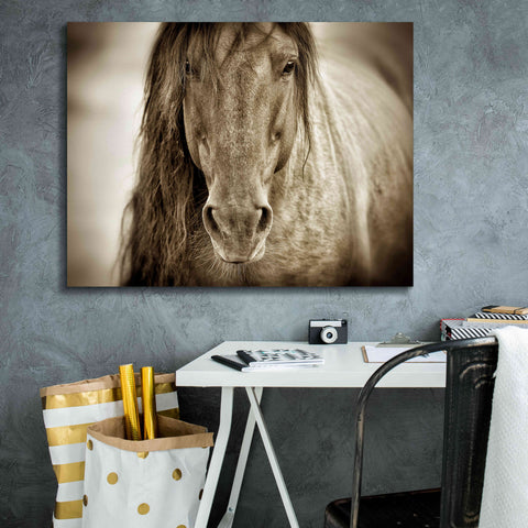 Image of 'Mustang Sally' by Lisa Dearing, Giclee Canvas Wall Art,34x26