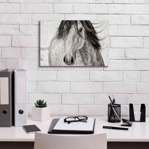 Image of 'My Beautiful Mane' by Lisa Dearing, Giclee Canvas Wall Art,18x12