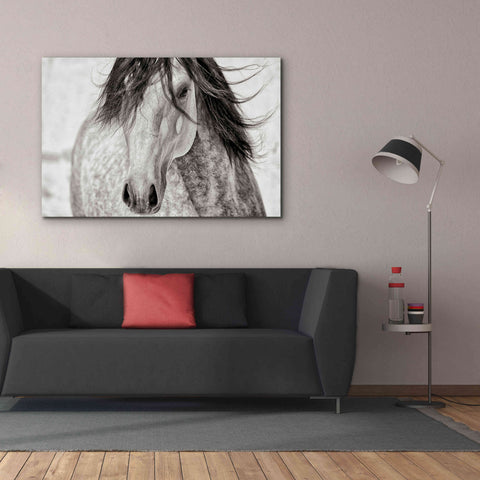 Image of 'My Beautiful Mane' by Lisa Dearing, Giclee Canvas Wall Art,60x40