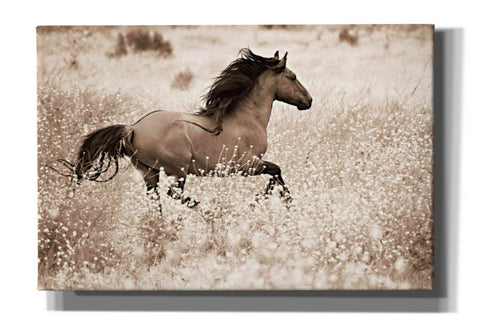 Image of 'Running Free' by Lisa Dearing, Giclee Canvas Wall Art