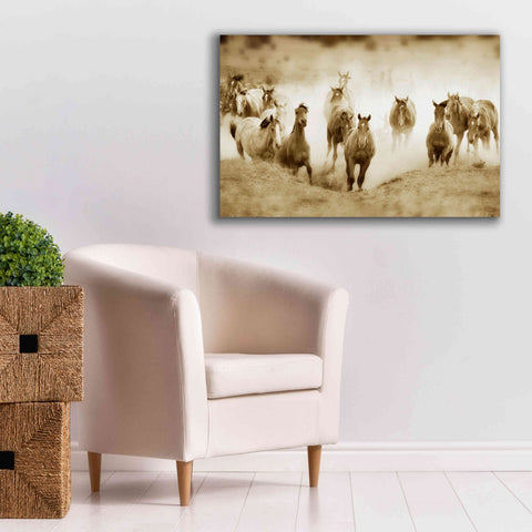 Image of 'San Cristobol Horses' by Lisa Dearing, Giclee Canvas Wall Art,40x26