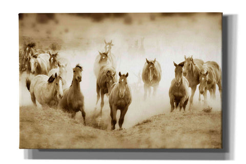 Image of 'San Cristobol Horses' by Lisa Dearing, Giclee Canvas Wall Art