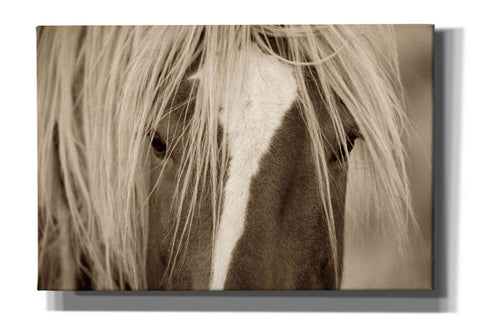 Image of 'The Blonde' by Lisa Dearing, Giclee Canvas Wall Art
