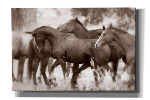 Image of 'The Herd' by Lisa Dearing, Giclee Canvas Wall Art