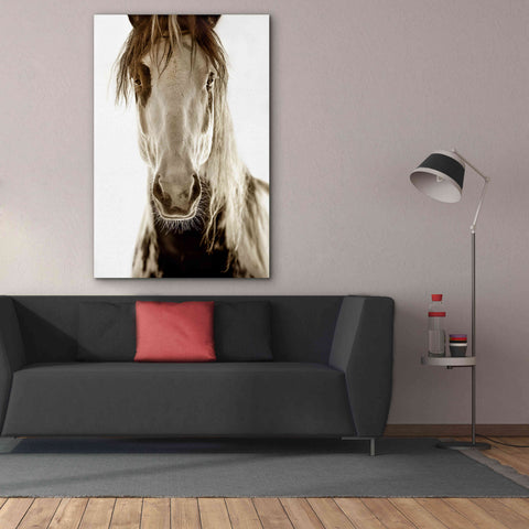 Image of 'Wilbur Cruz' by Lisa Dearing, Giclee Canvas Wall Art,40x60
