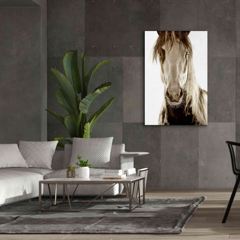 Image of 'Wilbur Cruz' by Lisa Dearing, Giclee Canvas Wall Art,40x60