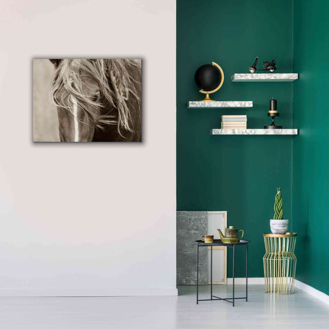 Image of 'Wind Knots' by Lisa Dearing, Giclee Canvas Wall Art,34x26