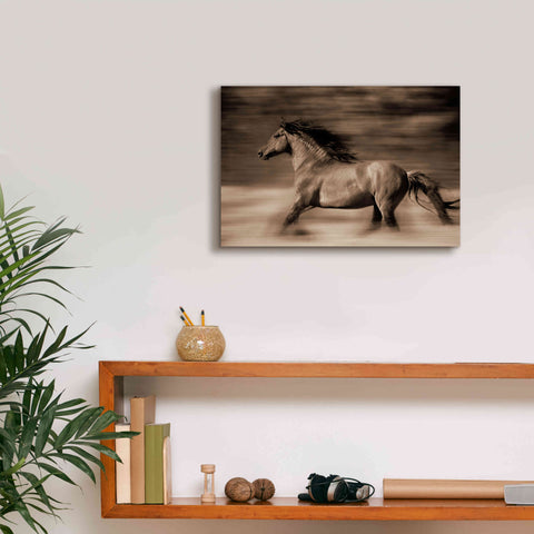 Image of 'Wind Runner' by Lisa Dearing, Giclee Canvas Wall Art,18x12