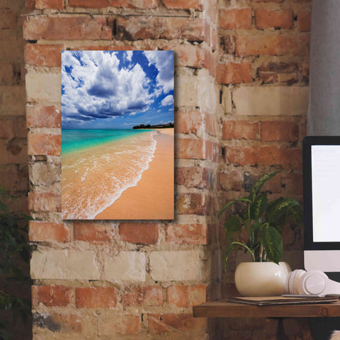 Image of 'A Perfect Day' by Lizzy Davis, Giclee Canvas Wall Art,12x18