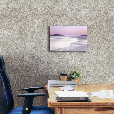 Image of 'Silver Silence' by Lynne Douglas, Giclee Canvas Wall Art,18x12