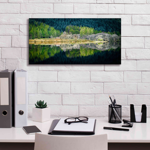 Image of 'Spring Greens' by Lynne Douglas, Giclee Canvas Wall Art,24x12