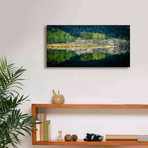Image of 'Spring Greens' by Lynne Douglas, Giclee Canvas Wall Art,24x12