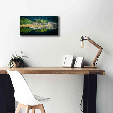 Image of 'Spring Greens' by Lynne Douglas, Giclee Canvas Wall Art,24x12