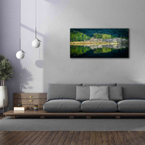 Image of 'Spring Greens' by Lynne Douglas, Giclee Canvas Wall Art,60x30