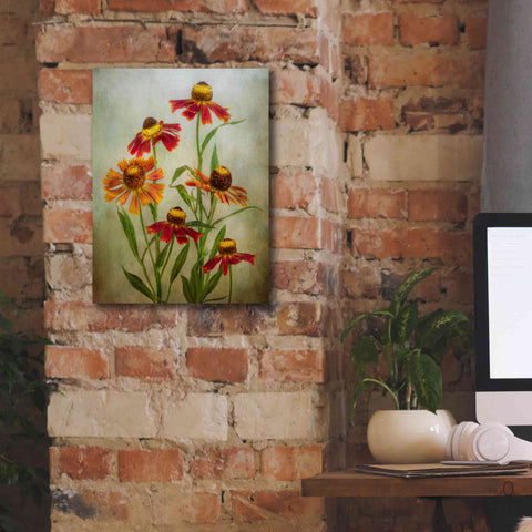 Image of 'Cabaret' by Mandy Disher, Giclee Canvas Wall Art,12x16