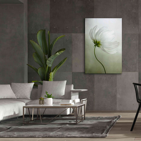 Image of 'Cosmos Charisma' by Mandy Disher, Giclee Canvas Wall Art,40x60