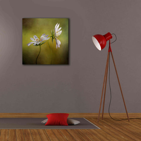 Image of 'Echo' by Mandy Disher, Giclee Canvas Wall Art,26x26