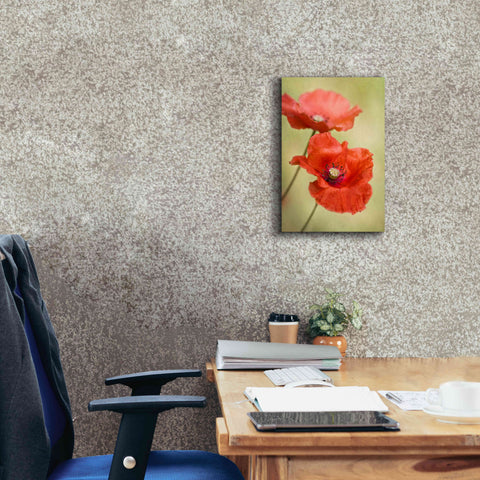 Image of 'Papaver Passion' by Mandy Disher, Giclee Canvas Wall Art,12x18