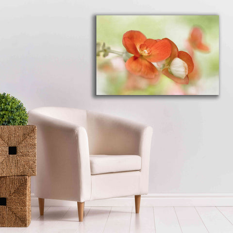 Image of 'Summer Glow' by Mandy Disher, Giclee Canvas Wall Art,40x26