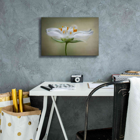 Image of 'Summer Swirl' by Mandy Disher, Giclee Canvas Wall Art,18x12