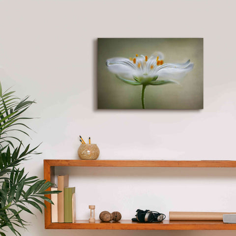 Image of 'Summer Swirl' by Mandy Disher, Giclee Canvas Wall Art,18x12
