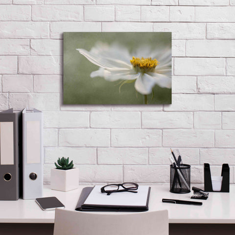 Image of 'Whisper' by Mandy Disher, Giclee Canvas Wall Art,18x12