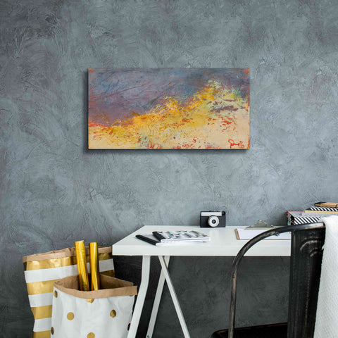 Image of 'Aerial' by Patrick Dennis, Giclee Canvas Wall Art,24x12