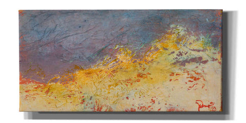Image of 'Aerial' by Patrick Dennis, Giclee Canvas Wall Art