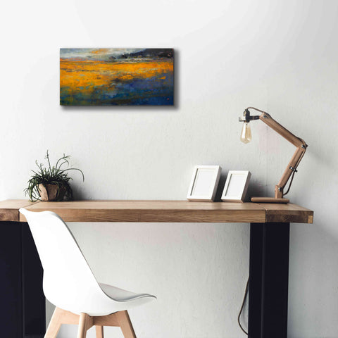 Image of 'Marshes' by Patrick Dennis, Giclee Canvas Wall Art,24 x 12