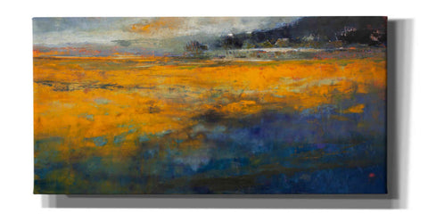Image of 'Marshes' by Patrick Dennis, Giclee Canvas Wall Art