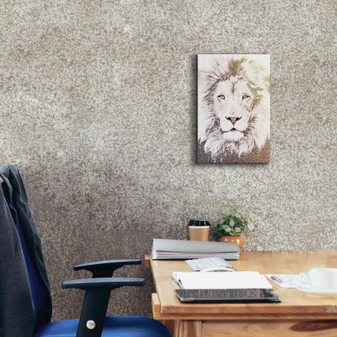 Image of 'Lion' by Paula Belle Flores, Giclee Canvas Wall Art,12 x 18
