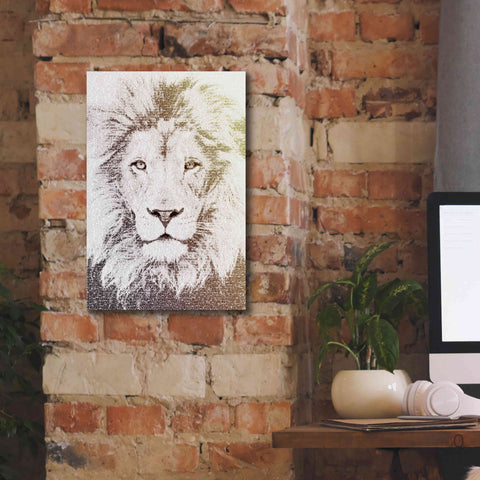 Image of 'Lion' by Paula Belle Flores, Giclee Canvas Wall Art,12 x 18