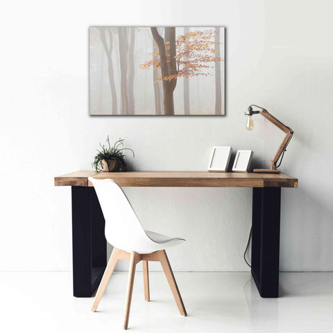 Image of 'Arnhem Park Zypendaal' by Wilco Dragt, Giclee Canvas Wall Art,40 x 26