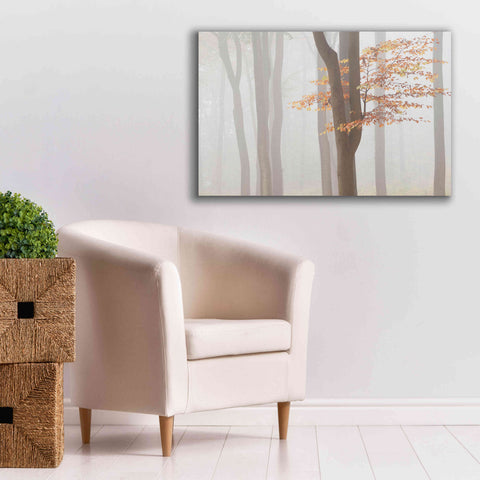 Image of 'Arnhem Park Zypendaal' by Wilco Dragt, Giclee Canvas Wall Art,40 x 26