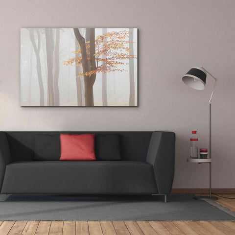 Image of 'Arnhem Park Zypendaal' by Wilco Dragt, Giclee Canvas Wall Art,60 x 40