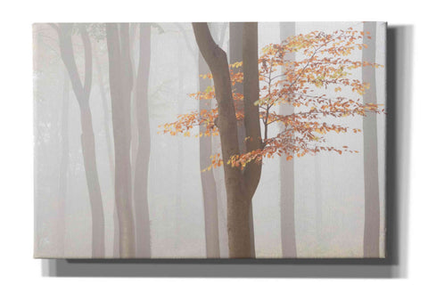 Image of 'Arnhem Park Zypendaal' by Wilco Dragt, Giclee Canvas Wall Art