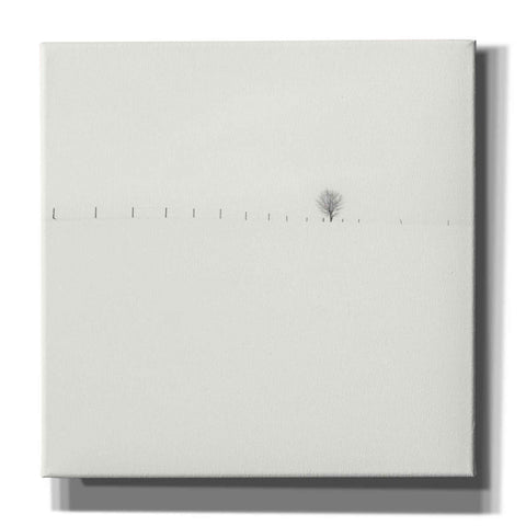 Image of 'Frozen Landscape' by Wilco Dragt, Giclee Canvas Wall Art