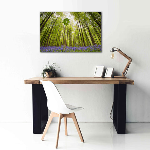 Image of 'Hallerbos' by Wilco Dragt, Giclee Canvas Wall Art,40 x 26