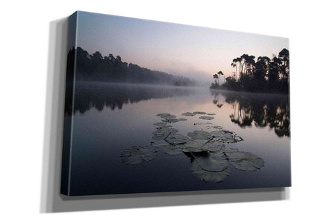 Image of 'Oisterwijkse Vennen' by Wilco Dragt, Giclee Canvas Wall Art