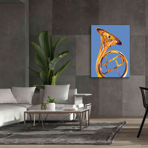 Image of 'French Horn 8' by David Chestnutt, Giclee Canvas Wall Art,40 x 54