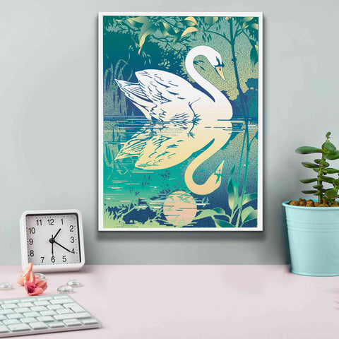Image of 'Swan' by David Chestnutt, Giclee Canvas Wall Art,12 x 16
