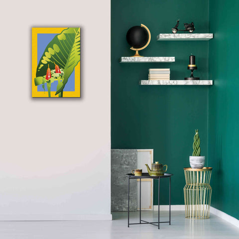 Image of 'Alocasia' by David Chestnutt, Giclee Canvas Wall Art,18 x 26