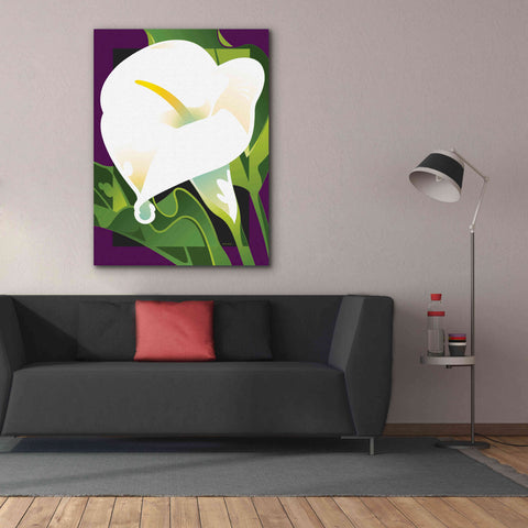 Image of 'Calla Lily' by David Chestnutt, Giclee Canvas Wall Art,40 x 54