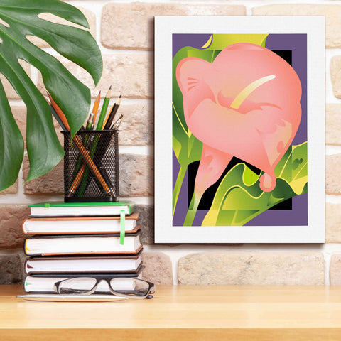 Image of 'Calla Pink' by David Chestnutt, Giclee Canvas Wall Art,12 x 16