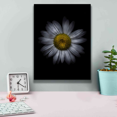 Image of 'Backyard Flowers 13 Color Version' by Brian Carson, Giclee Canvas Wall Art,12 x 16