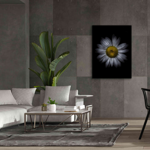 Image of 'Backyard Flowers 13 Color Version' by Brian Carson, Giclee Canvas Wall Art,40 x 54